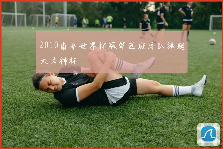2010南非世界杯冠军西班牙队捧起大力神杯