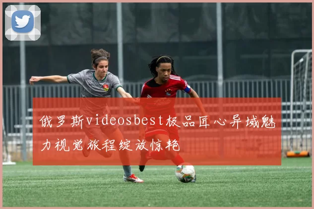 俄罗斯videosbest极品匠心异域魅力视觉旅程绽放惊艳