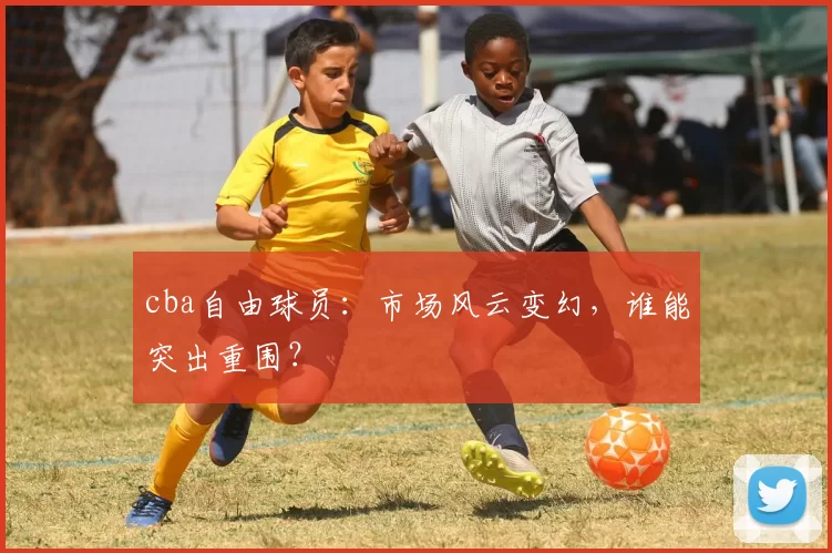 cba自由球员:市场风云变幻,谁能突出重围?